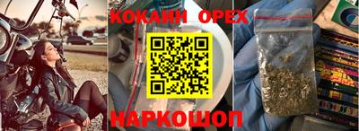 крисы Тверь